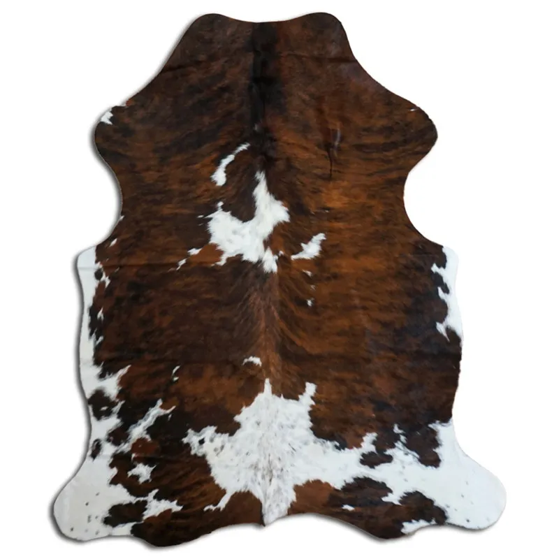 Kohud - Tricolor Exotic N084